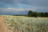 Image of landscape