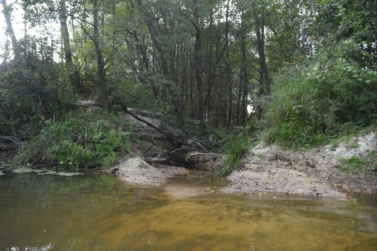 Устье ручья Ржевка, image of landscape/habitat.