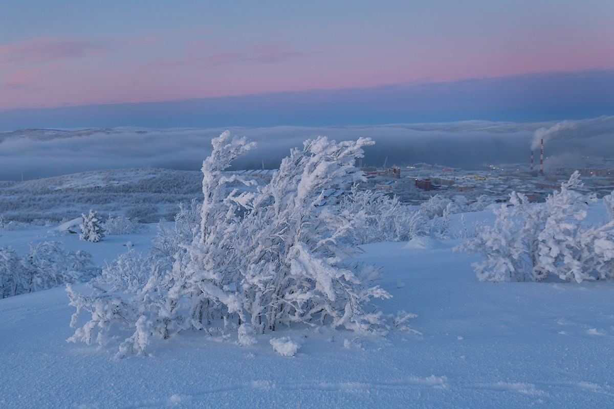 Горелая сопка, image of landscape/habitat.