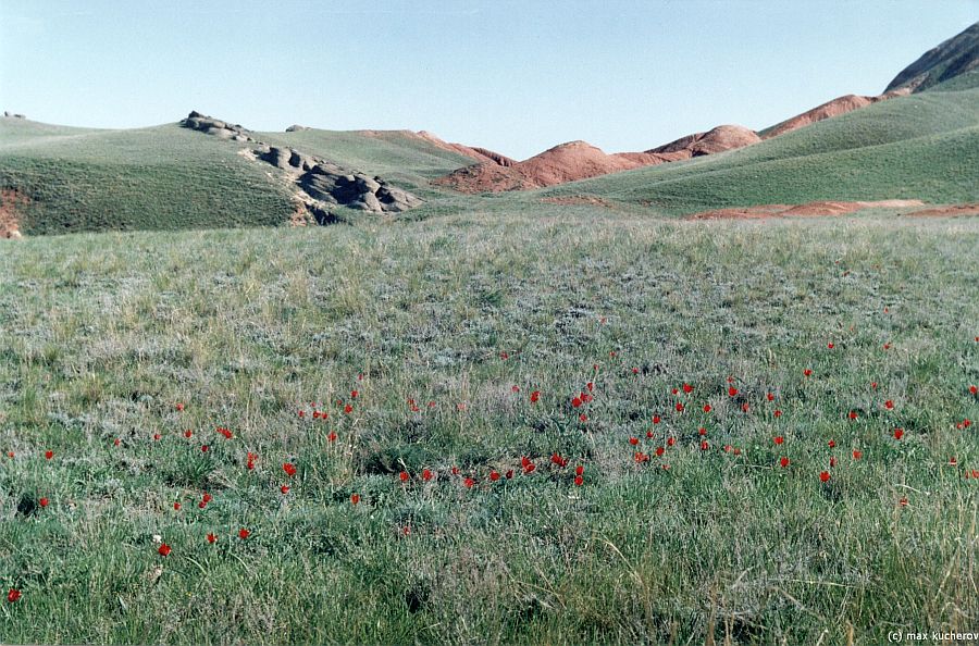 Богдино-Баскунчакский заповедник, image of landscape/habitat.