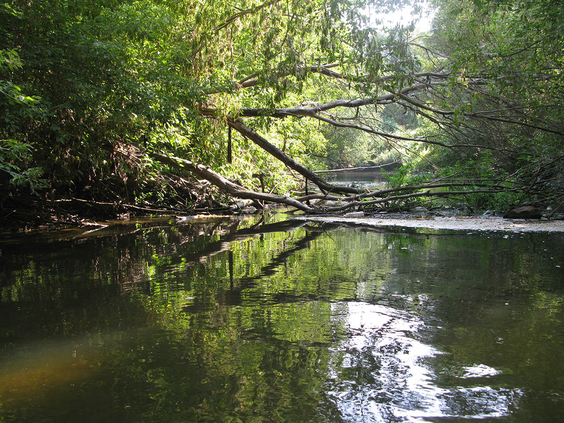 Среднее течение реки Усожа, image of landscape/habitat.