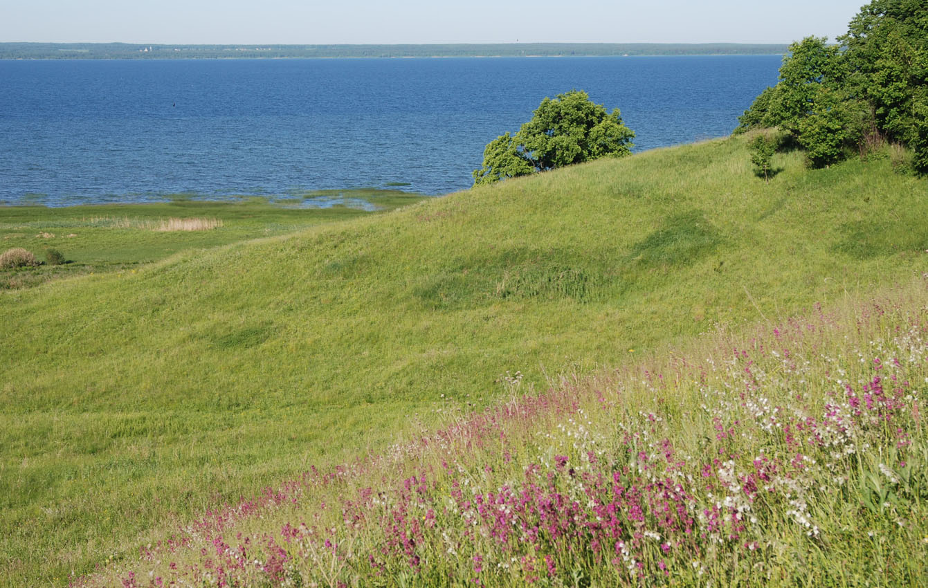 Плещеево озеро, image of landscape/habitat.