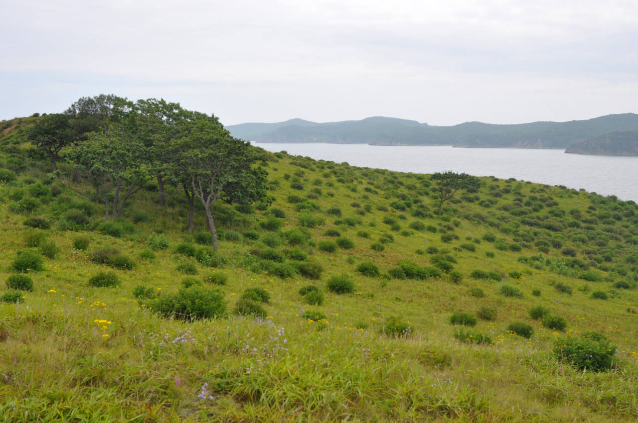 Остров Путятина, image of landscape/habitat.