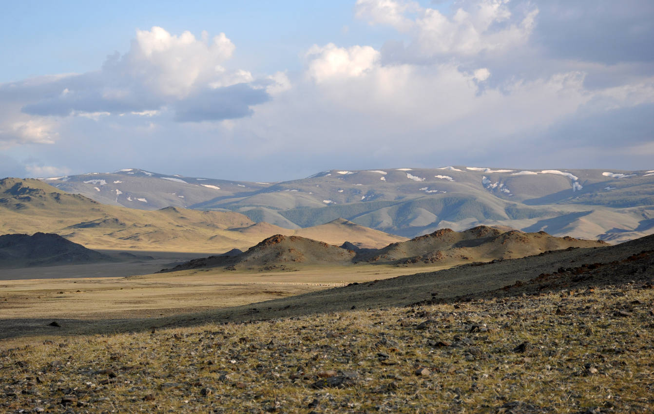 Озеро Уурэг-Нуур, image of landscape/habitat.