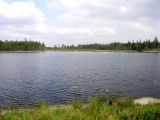 Image of landscape