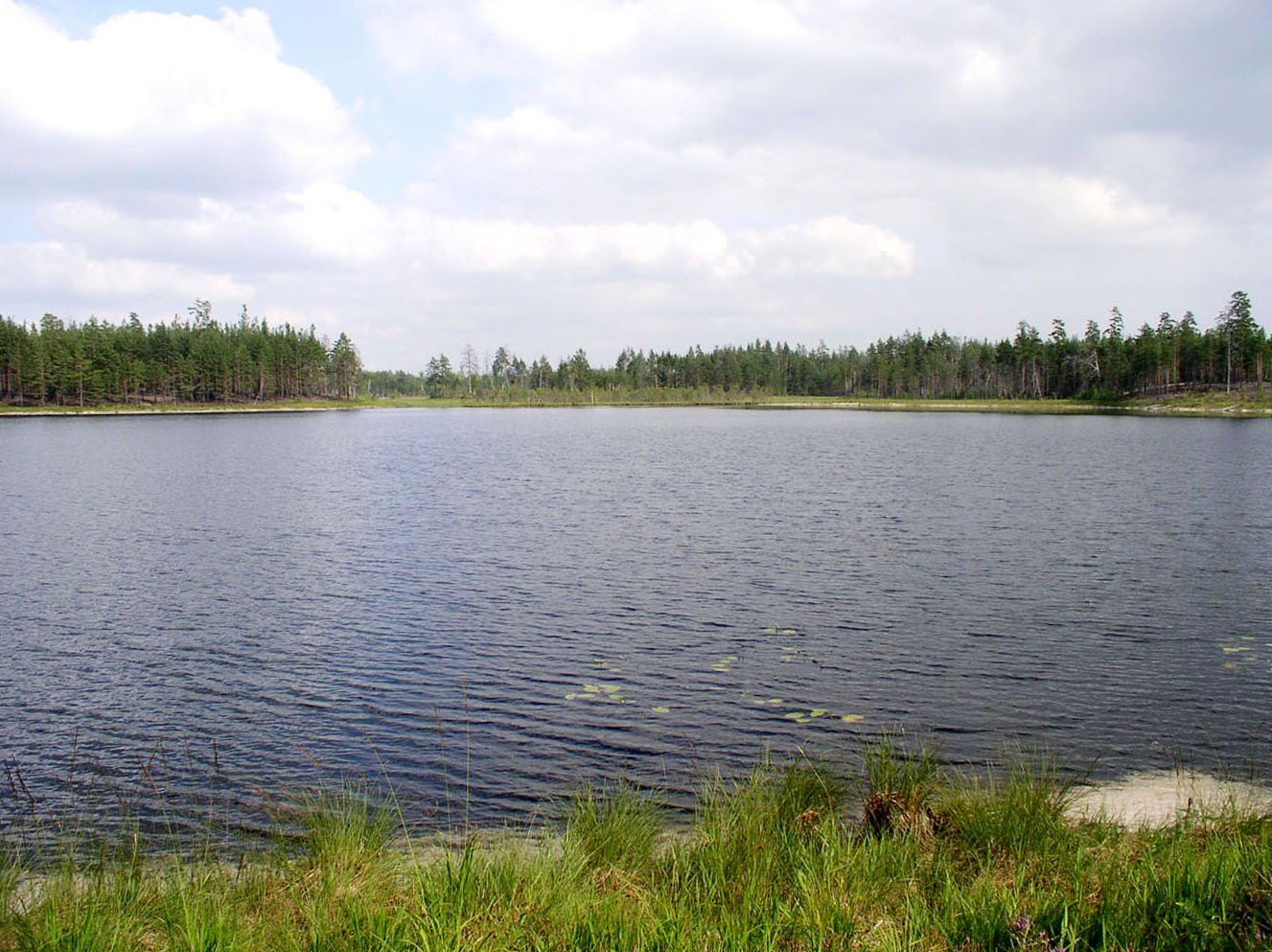 Вязниковские озера, image of landscape/habitat.