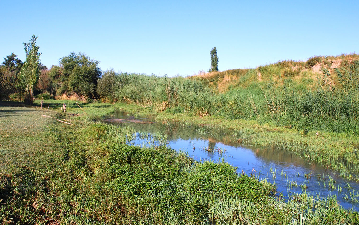 Поселок Улугбек, СЗЗ, image of landscape/habitat.