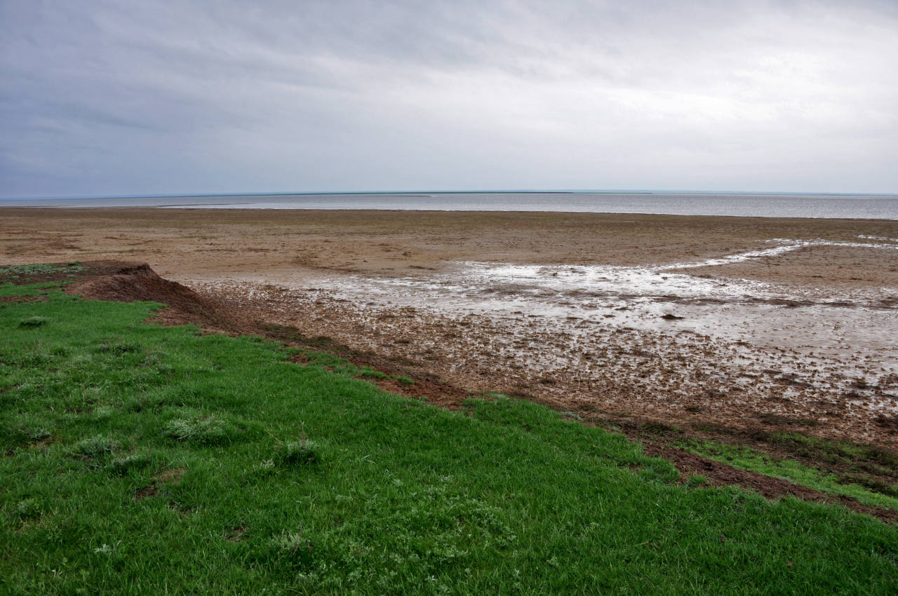 Побережье озера Маныч-Гудило, image of landscape/habitat.