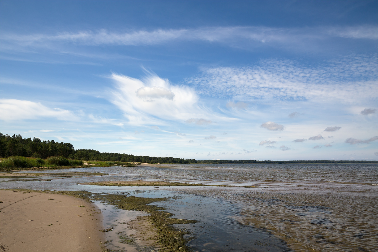 Окрестности деревни Выбье, image of landscape/habitat.