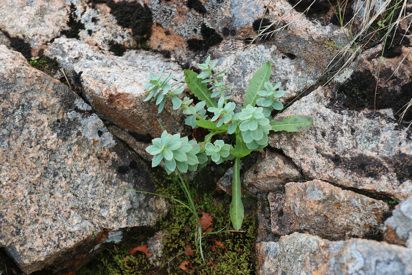 Юринга, image of landscape/habitat.