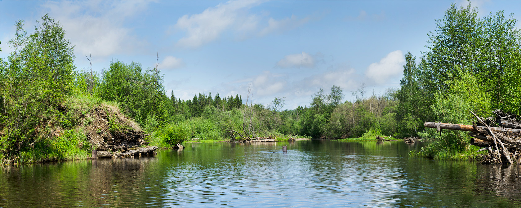 Башенёвский мост и окрестности, image of landscape/habitat.