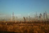 Image of landscape