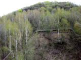 Image of landscape