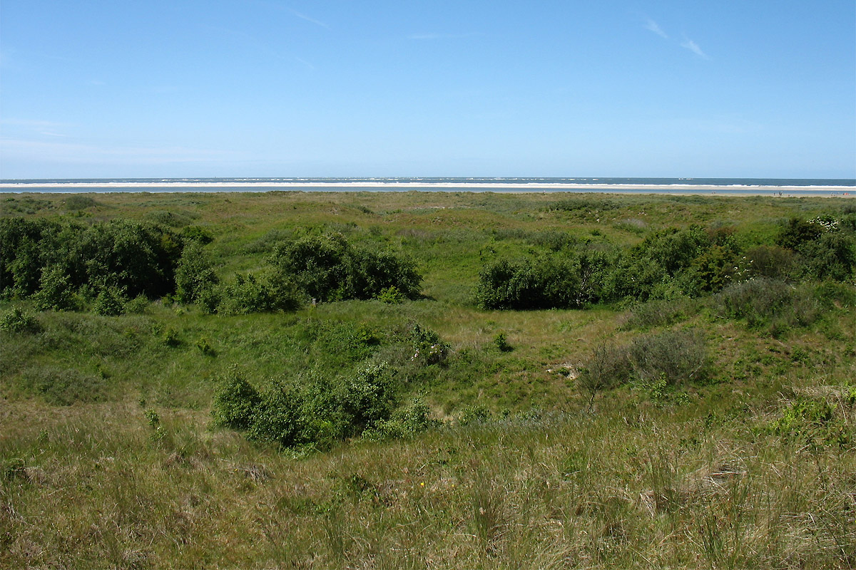 Схирмонниког (Schiermonnikoog), изображение ландшафта.