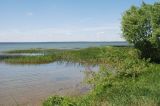 Плещеево озеро, image of landscape/habitat.