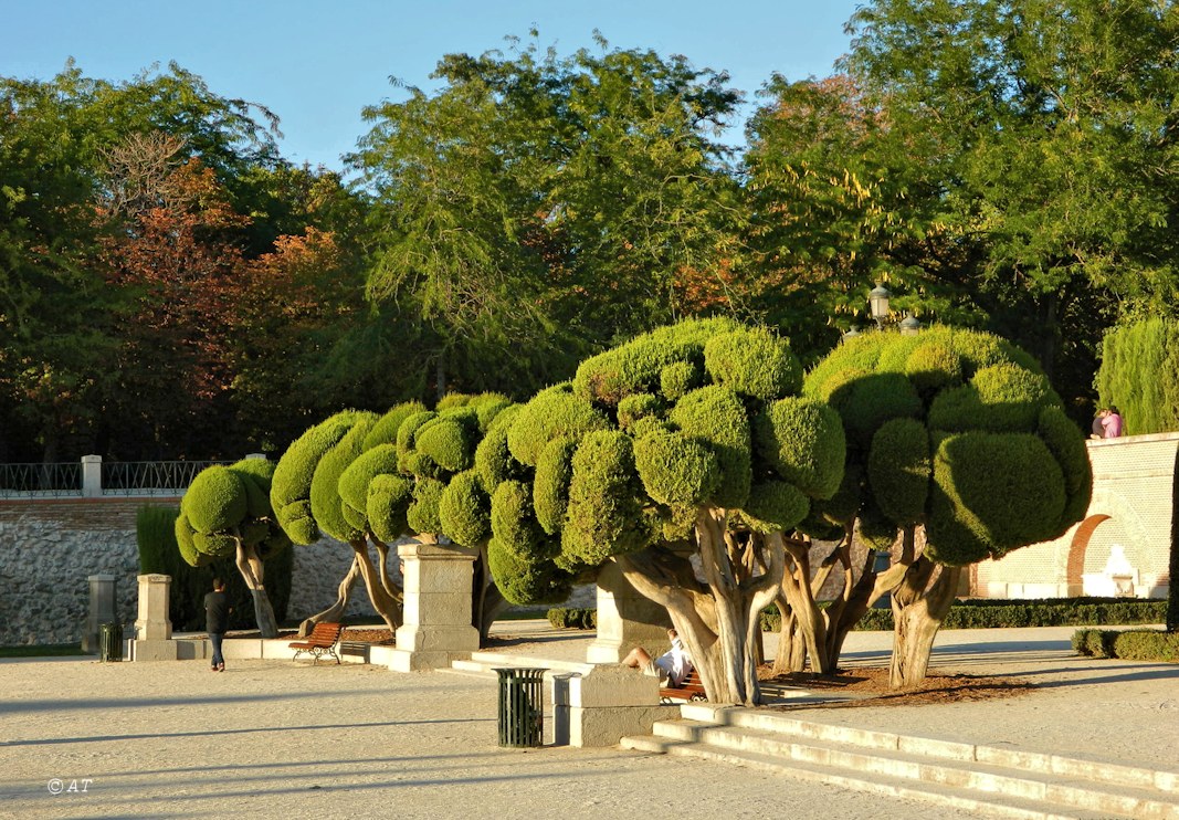 Мадрид, image of landscape/habitat.