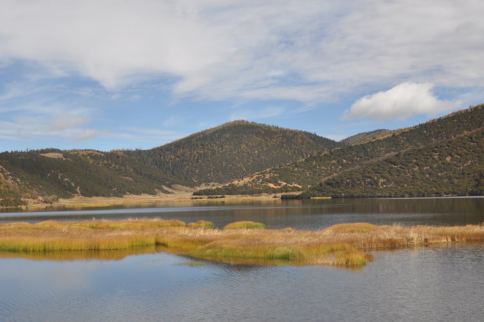 Озеро Шуду, image of landscape/habitat.