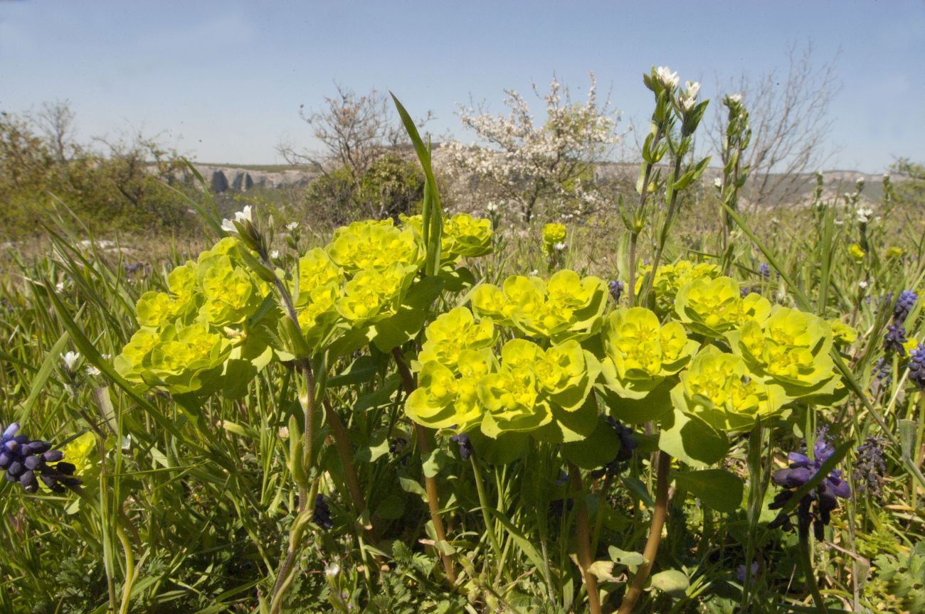 Окрестности Сюйреньской крепости, image of landscape/habitat.