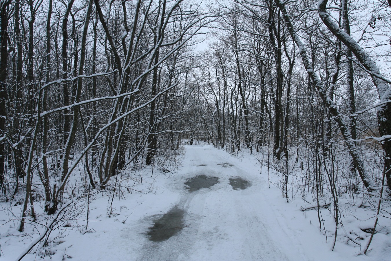 Каравалдай, image of landscape/habitat.