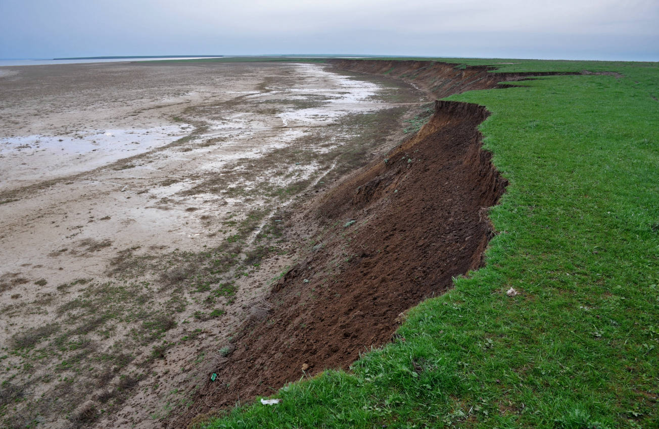 Побережье озера Маныч-Гудило, image of landscape/habitat.