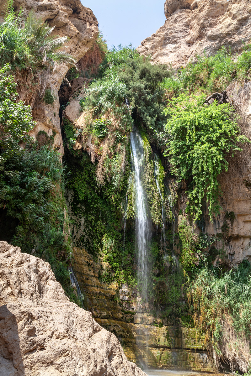 Эйн-Геди, image of landscape/habitat.