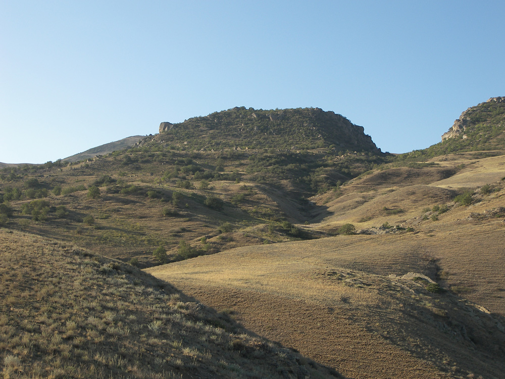 Бархан Сарыкум, image of landscape/habitat.