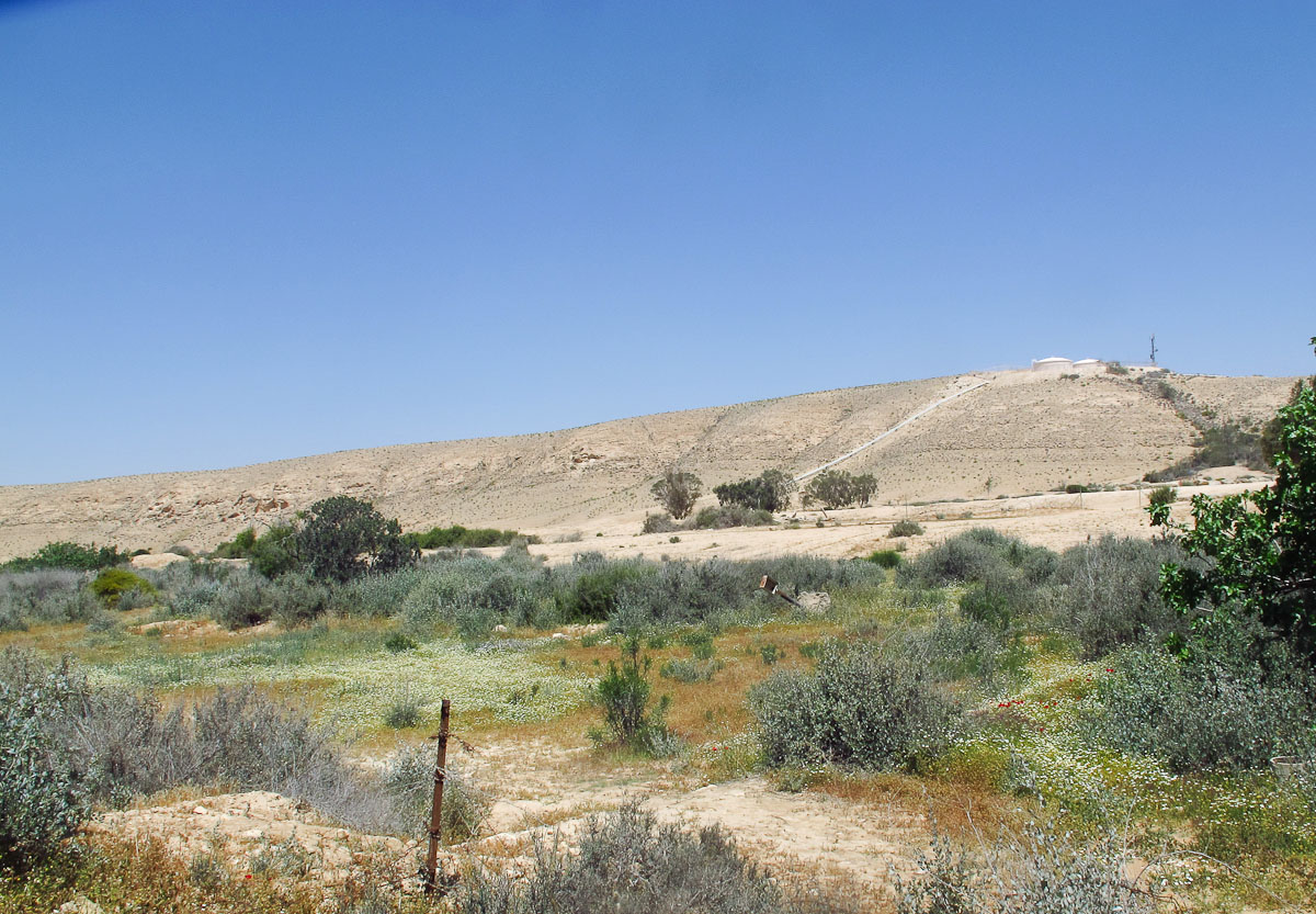 Негев, image of landscape/habitat.