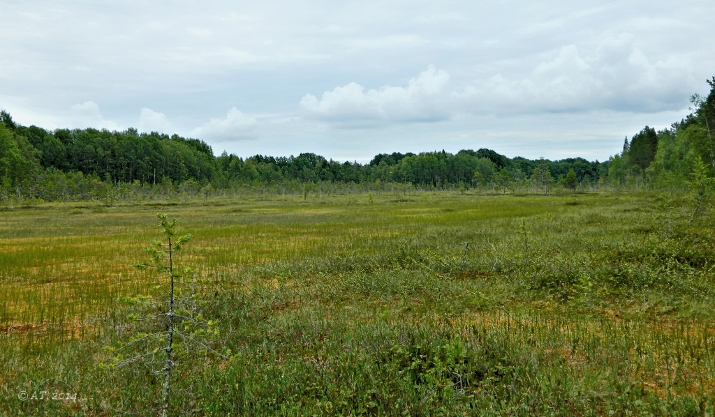 Кушерека, image of landscape/habitat.