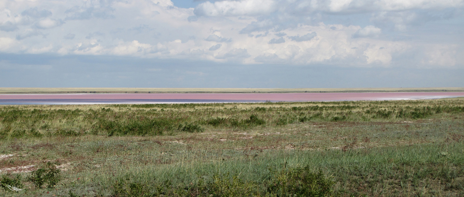 Котловина озера Коряковка, image of landscape/habitat.