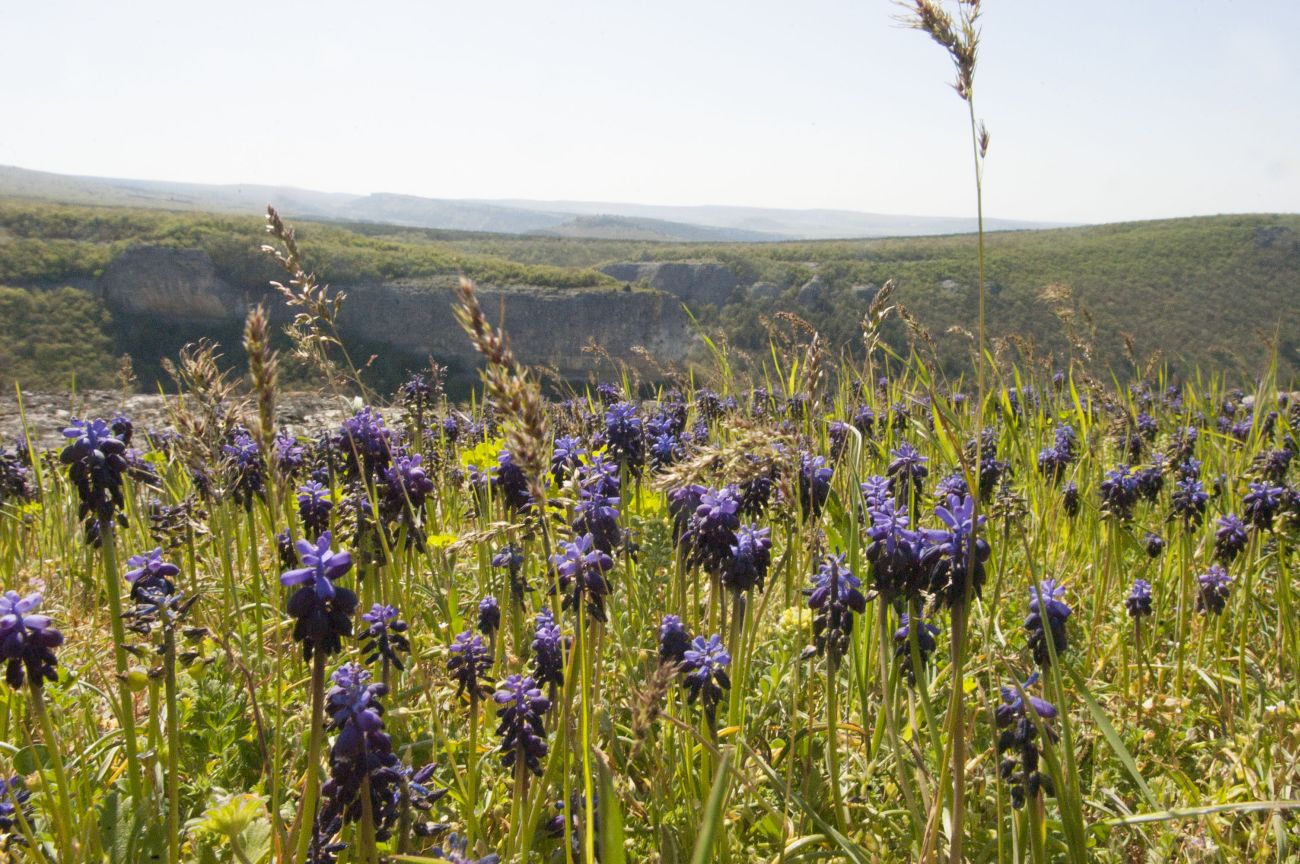 Окрестности Сюйреньской крепости, image of landscape/habitat.