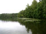 Image of landscape