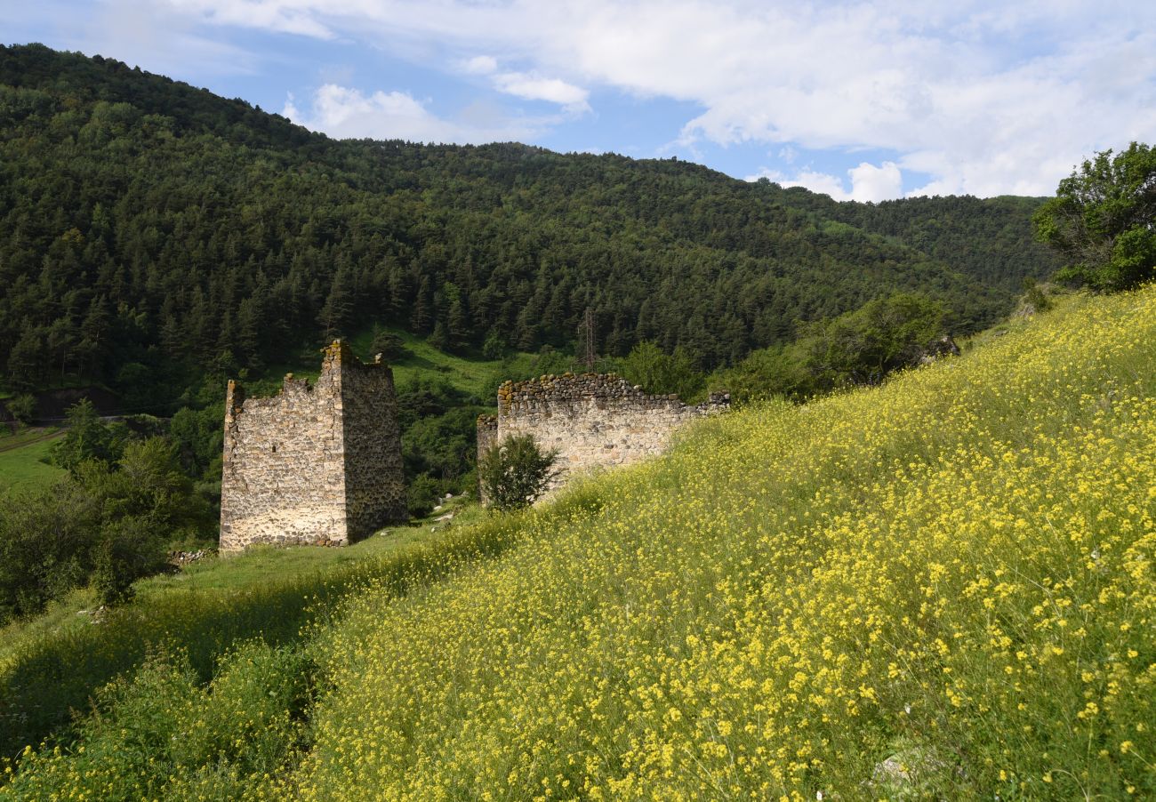 Окрестности Эгикхал, image of landscape/habitat.