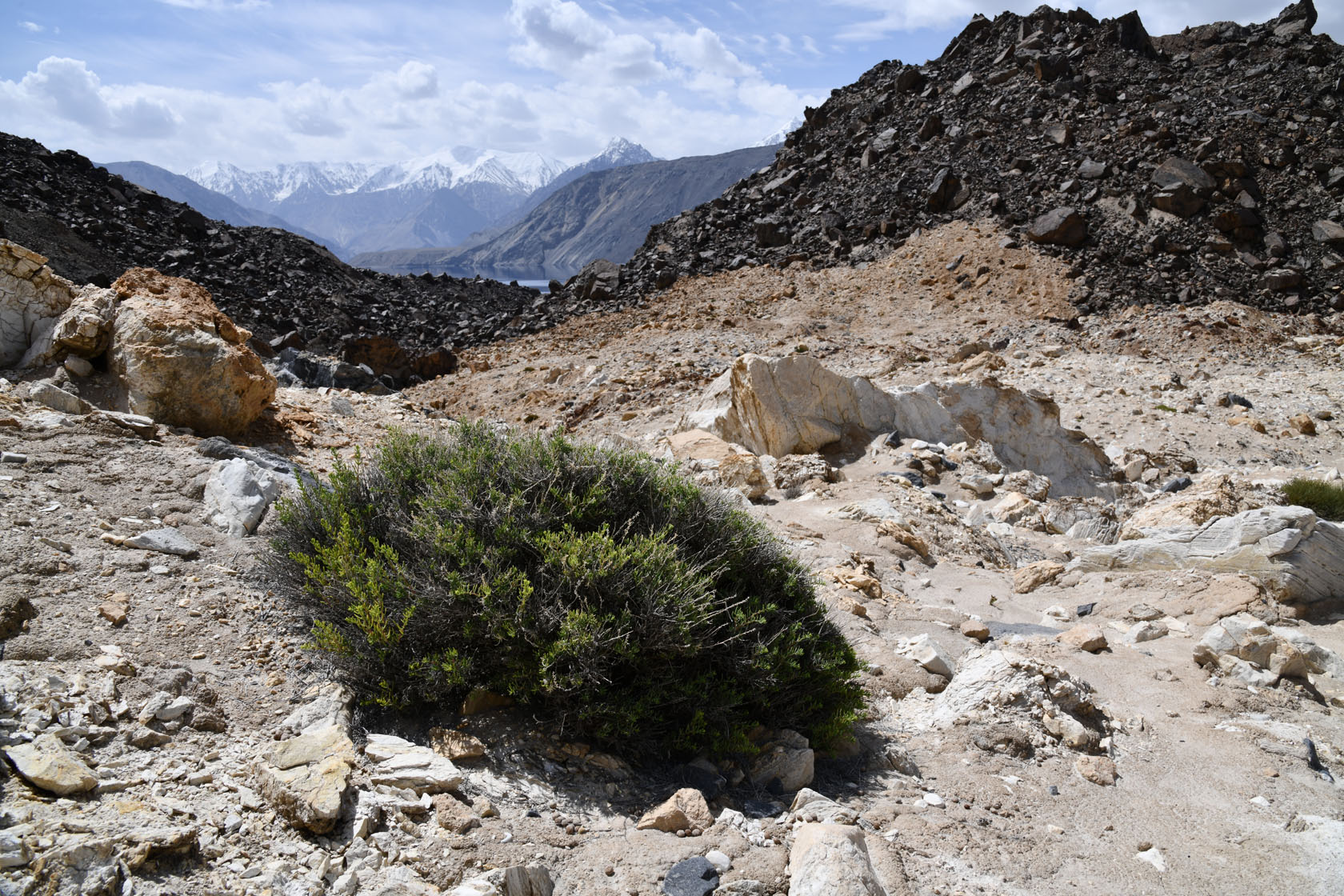Усойский завал, image of landscape/habitat.