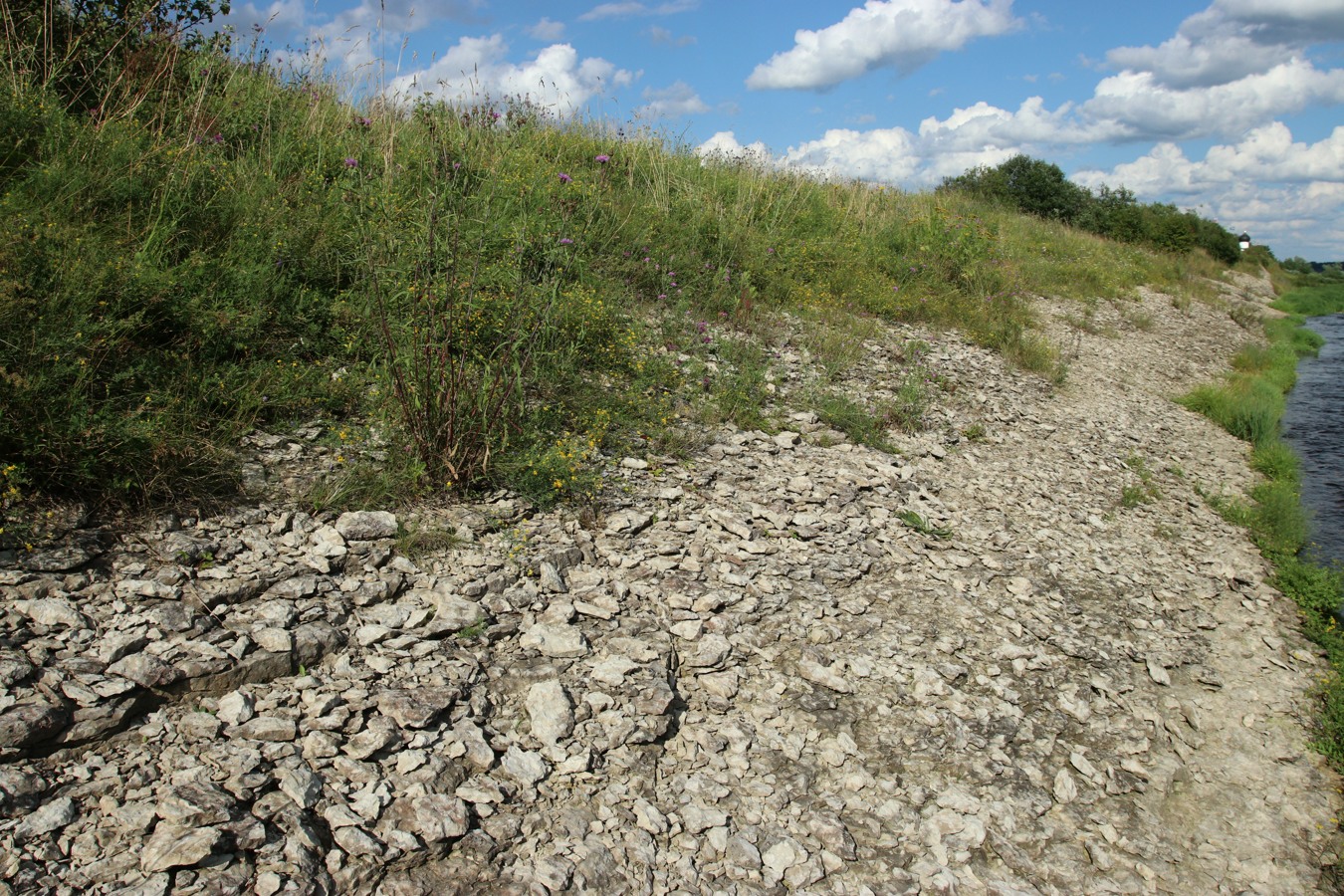 Выбуты, image of landscape/habitat.