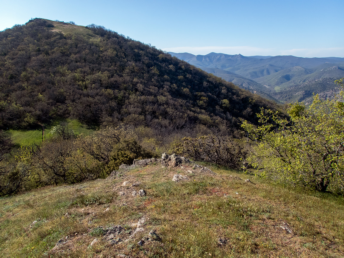 Перчем, image of landscape/habitat.