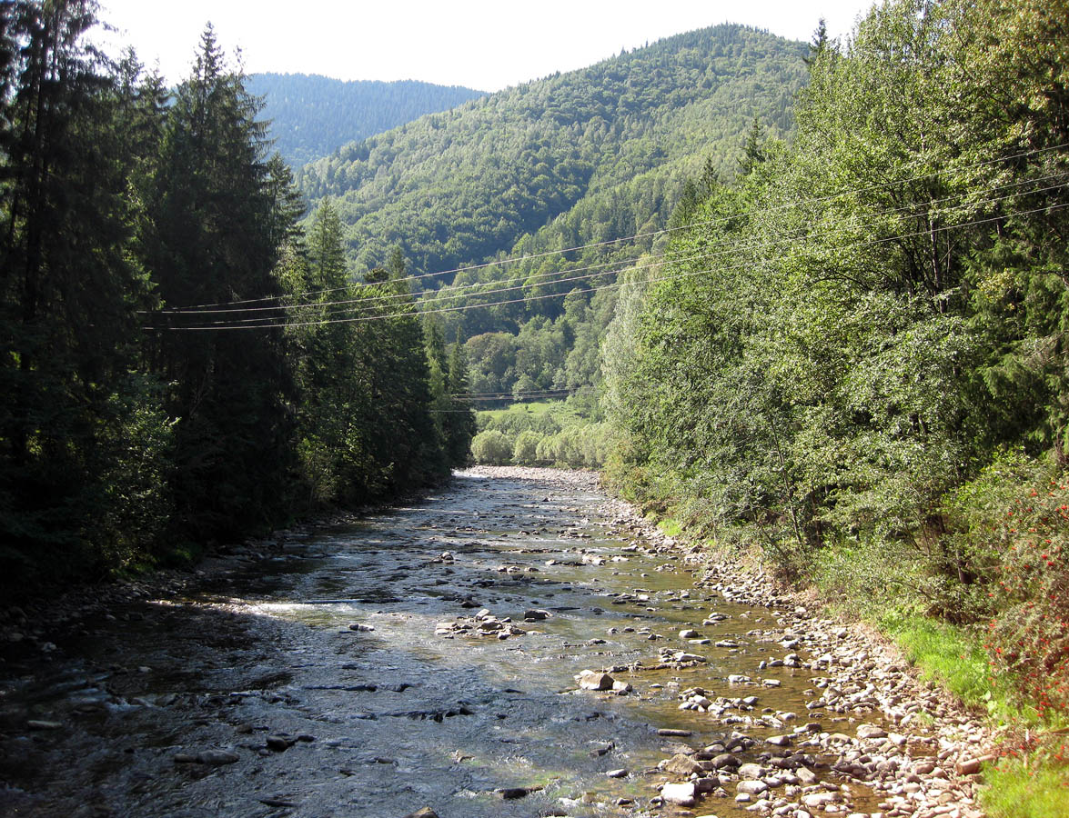 Заповедник "Горганы", Максимец, image of landscape/habitat.