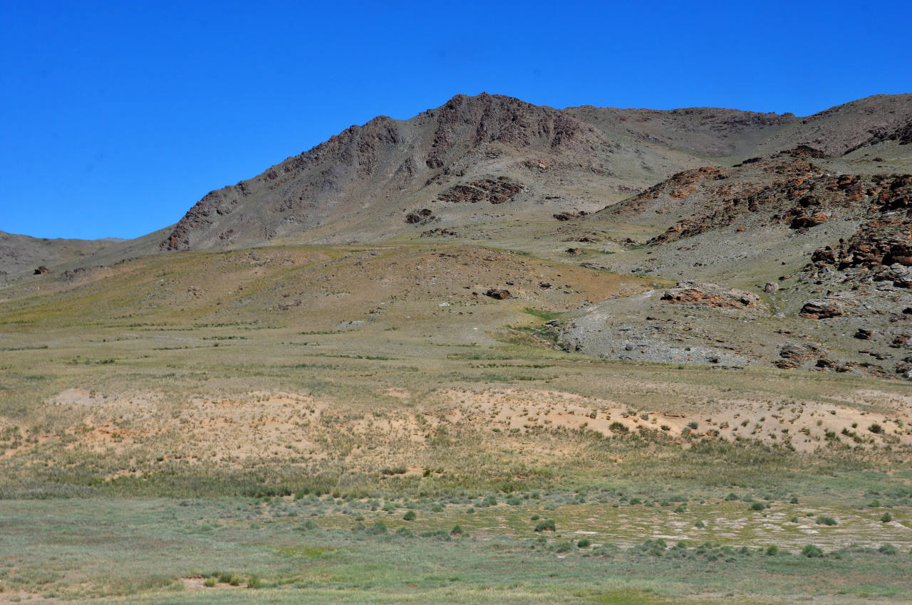 Перевал Оготор-Хамар-Даваа, изображение ландшафта.