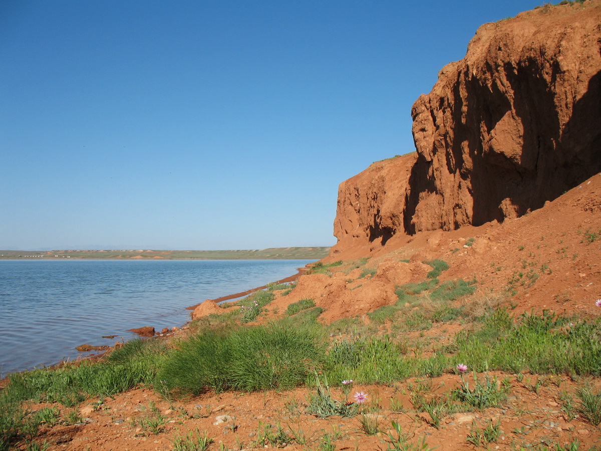 Озеро Кызылколь, image of landscape/habitat.