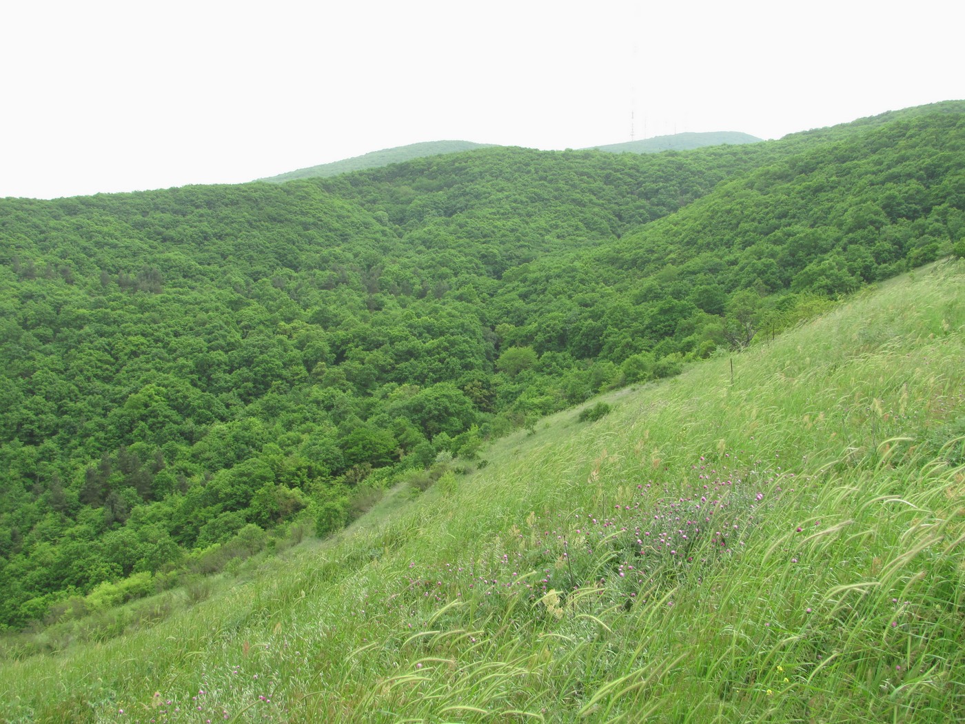 Дербент, изображение ландшафта.