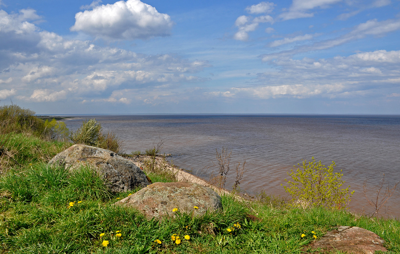 Ильменский глинт, image of landscape/habitat.