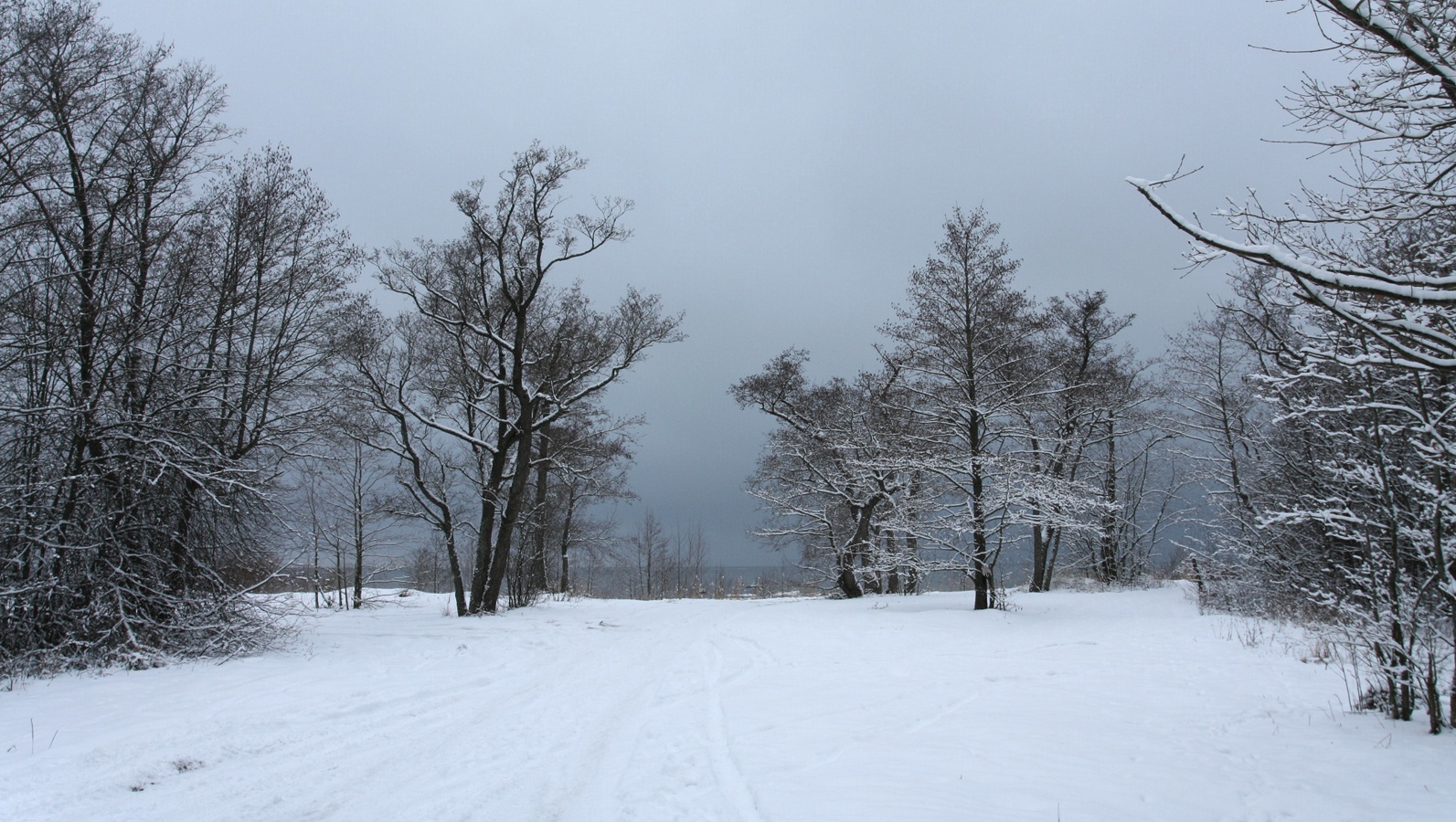 Шепелёвский маяк, image of landscape/habitat.