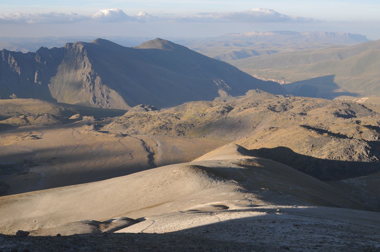 Урочище Седое Плечо, image of landscape/habitat.