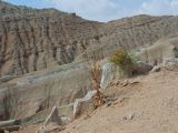 Image of landscape