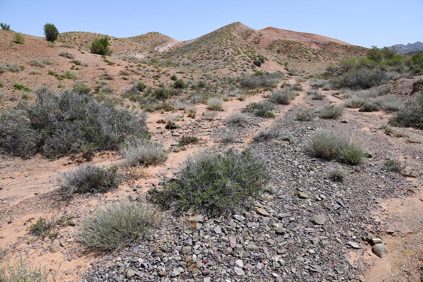 Бала-Богуты, image of landscape/habitat.