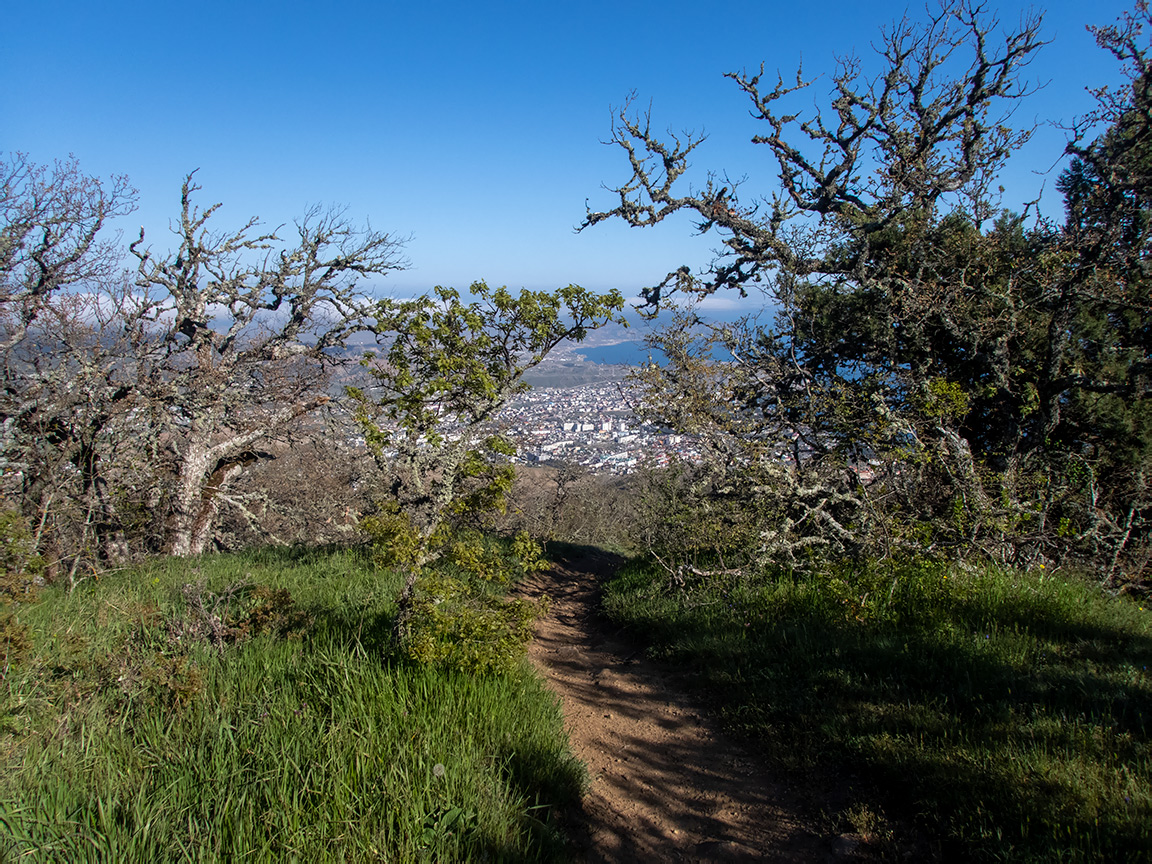 Перчем, image of landscape/habitat.
