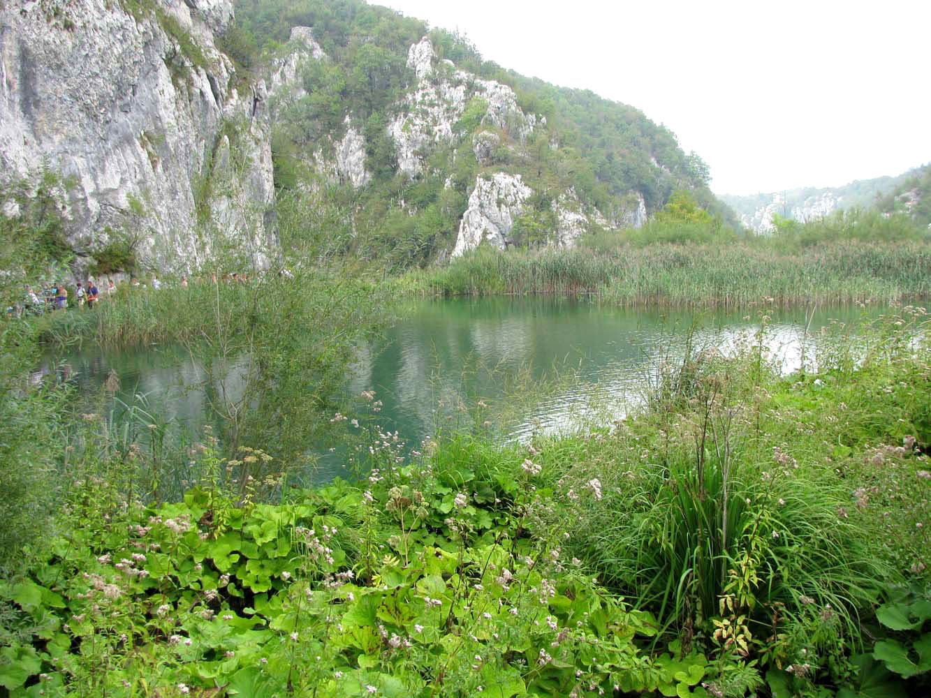 Плитвицкие озёра, image of landscape/habitat.