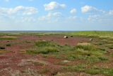 Image of landscape