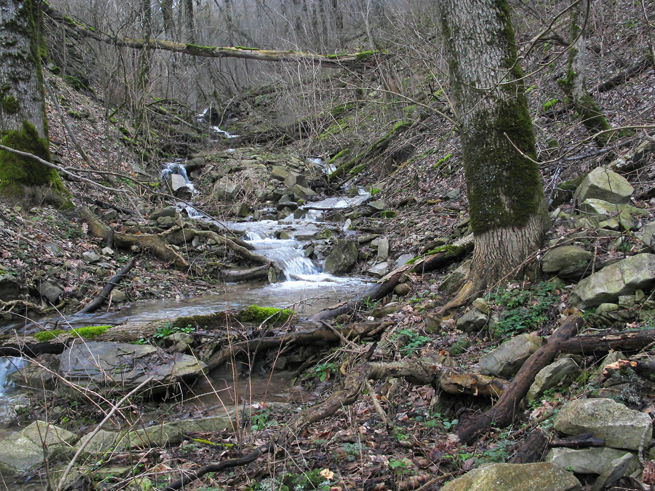 Щель Сибирская, image of landscape/habitat.