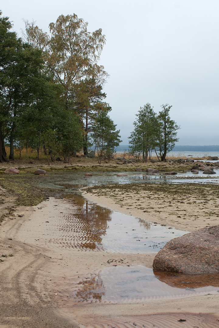 Мыс Дубовский, image of landscape/habitat.