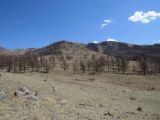 Окрестности Ефремкино, image of landscape/habitat.